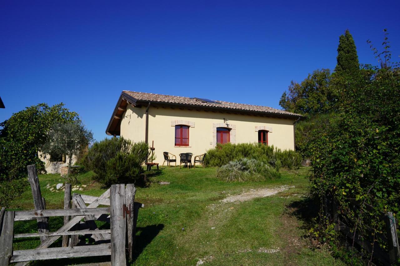 Agriturismo Il Sarale - Umbria Città di Castello Exterior foto