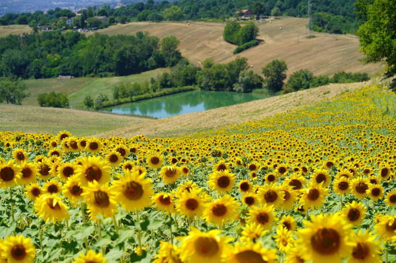 Agriturismo Il Sarale - Umbria Città di Castello Exterior foto