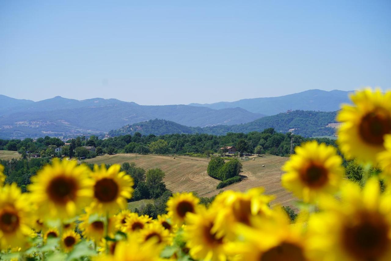 Agriturismo Il Sarale - Umbria Città di Castello Exterior foto